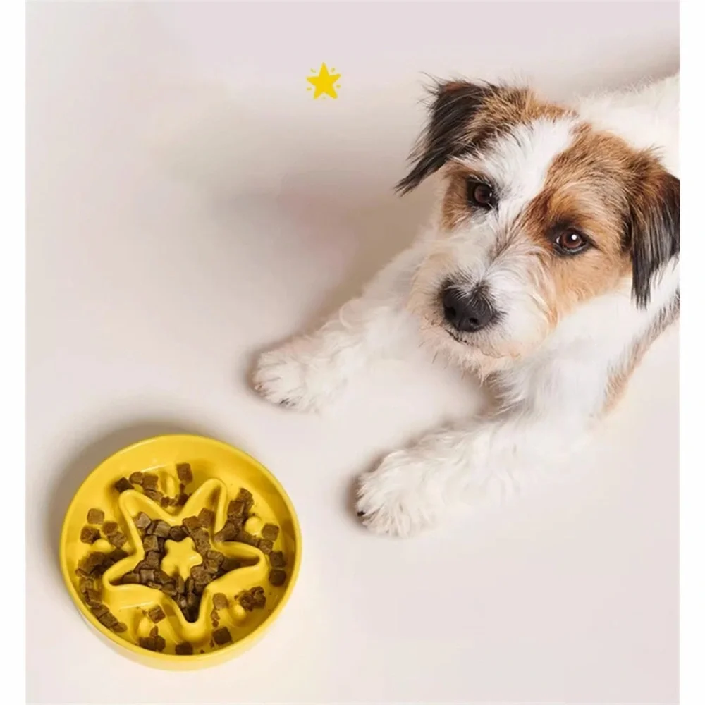 LE TAUCI Ceramic Slow Feeder Dog Bowl in the star yellow design